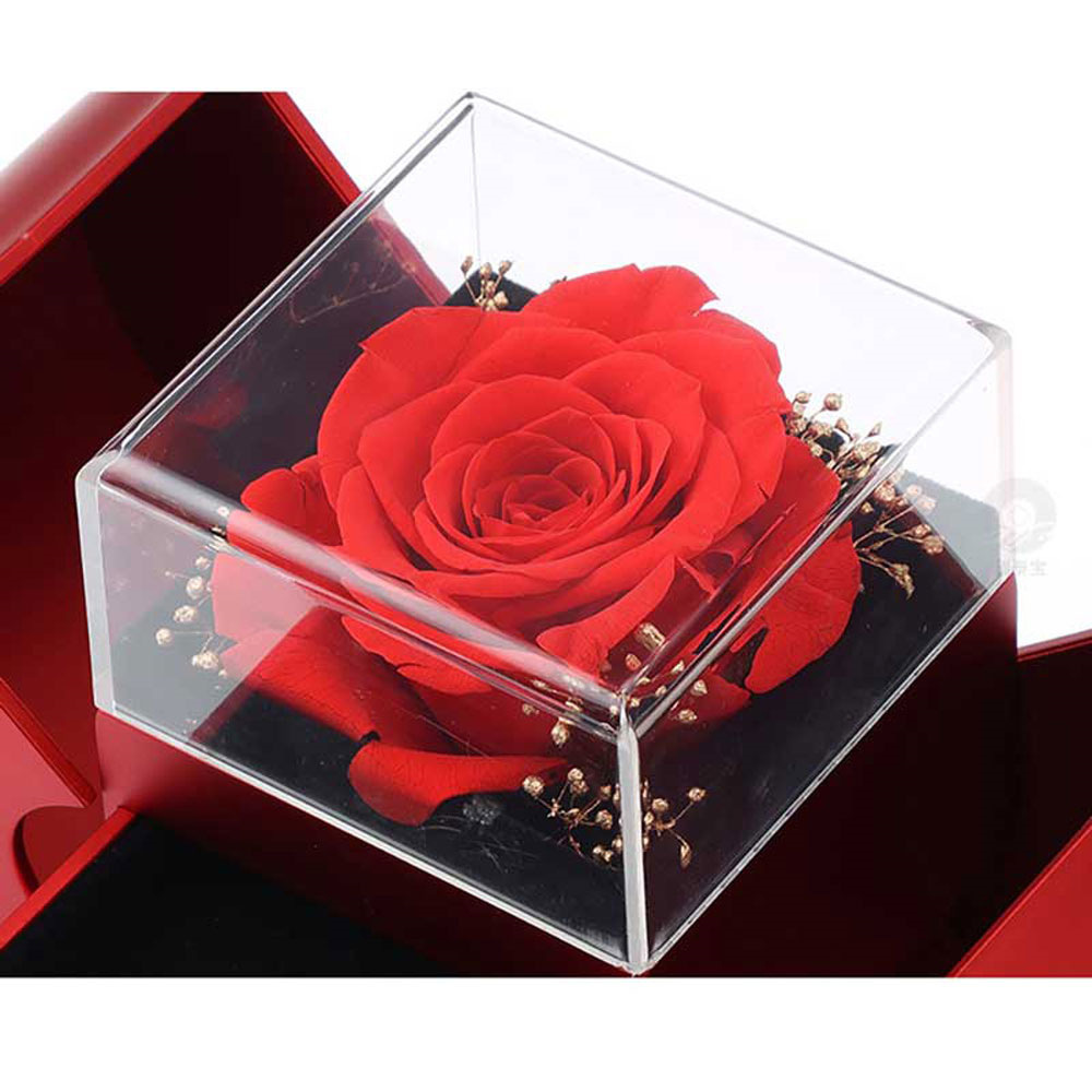 Mistora24 Red Apple Jewelry Box – Eternal Rose Necklace Gift for Women, Christmas, Mother’s Day & Valentine’s Day - Image 7